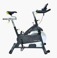fitness gear